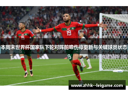 本周末世界杯国家队下轮对阵前瞻伤停更新与关键球员状态